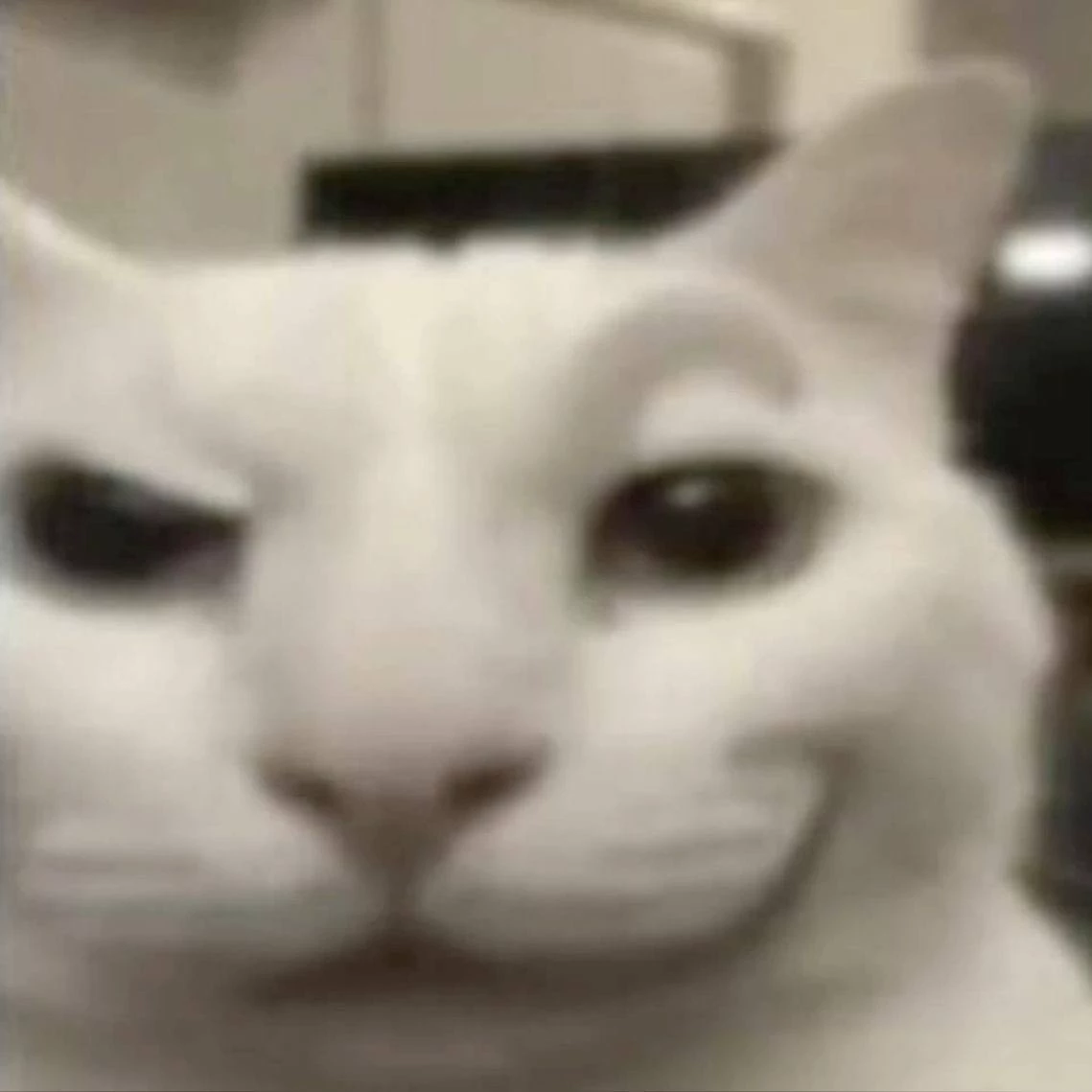 👁️👄👁️ jk