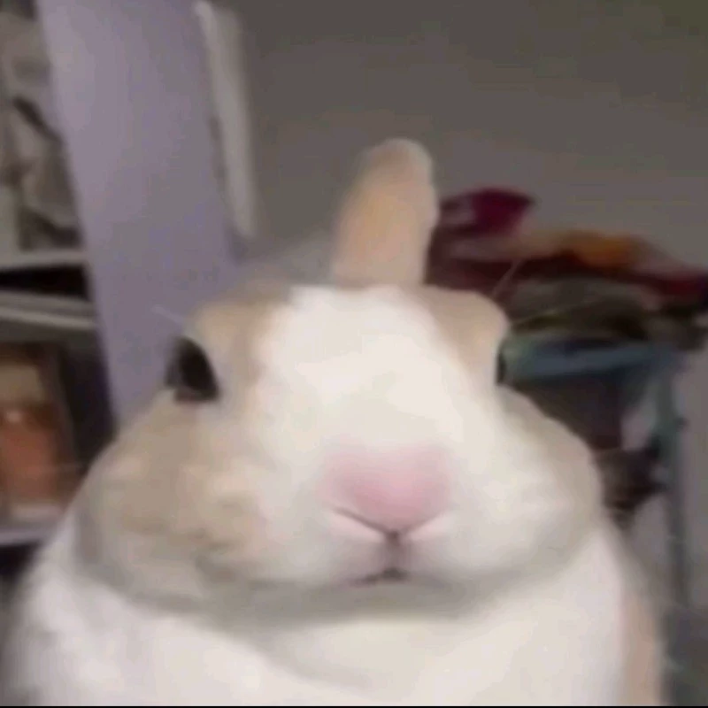 Kyuu-kun