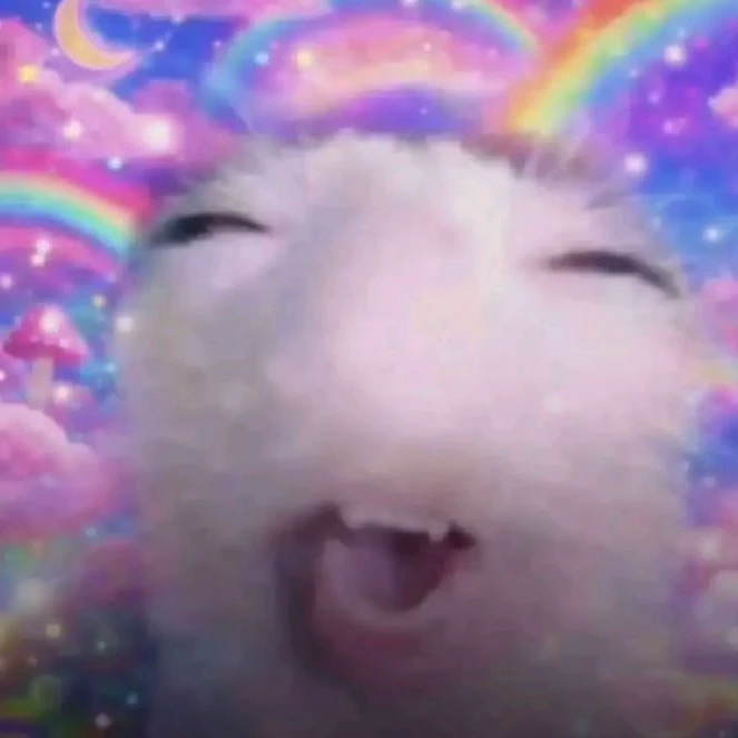 Yuki