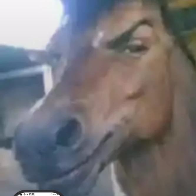 Zario