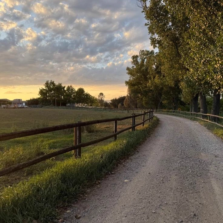 Countryside thumbnail