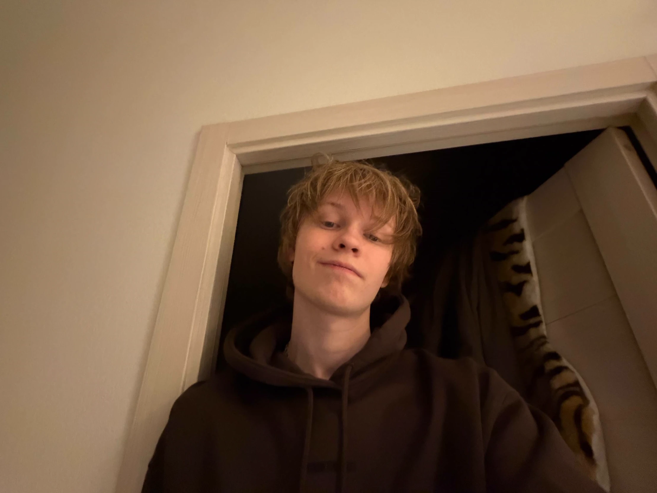 Dipins.deepins02.Ivan Bessmertnykh thumbnail
