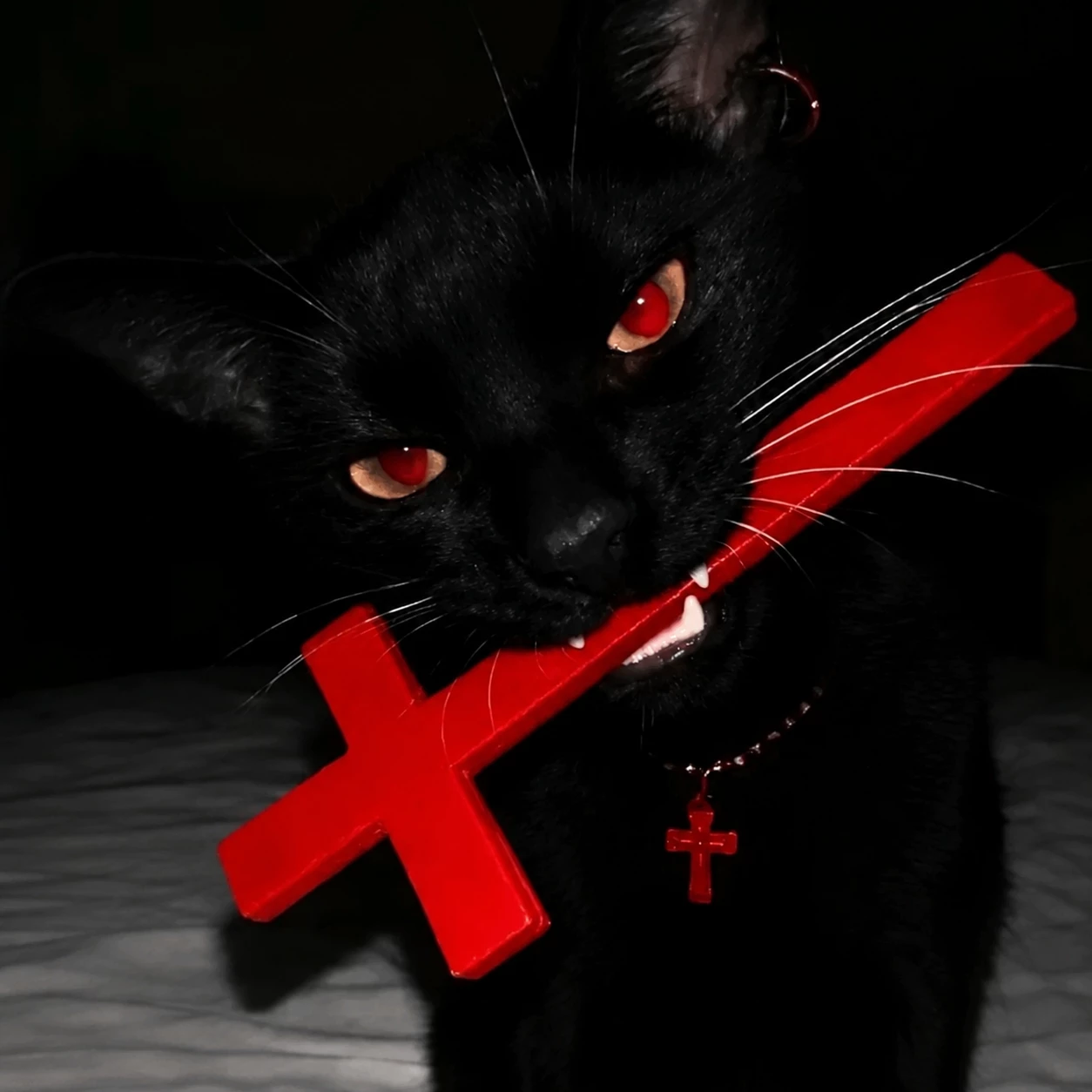 Elias