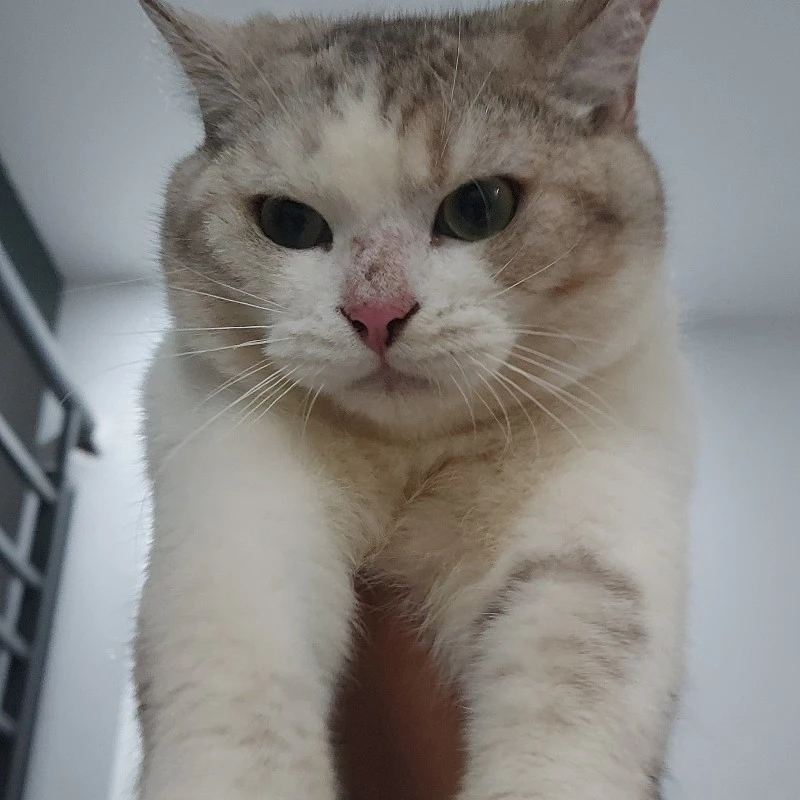 Sữa