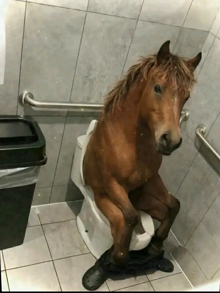 Horse thumbnail