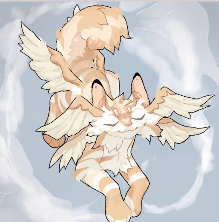 MXA x angel thumbnail