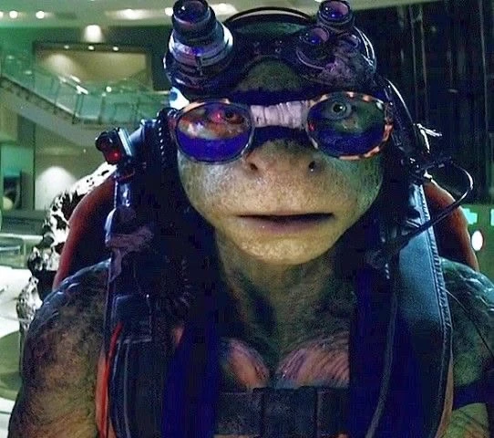 Donatello thumbnail