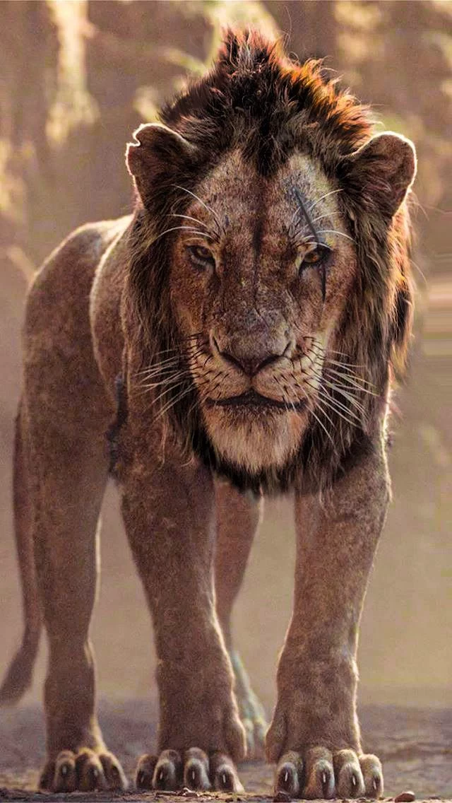 Scar thumbnail