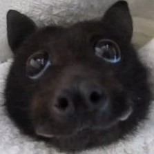 ~~