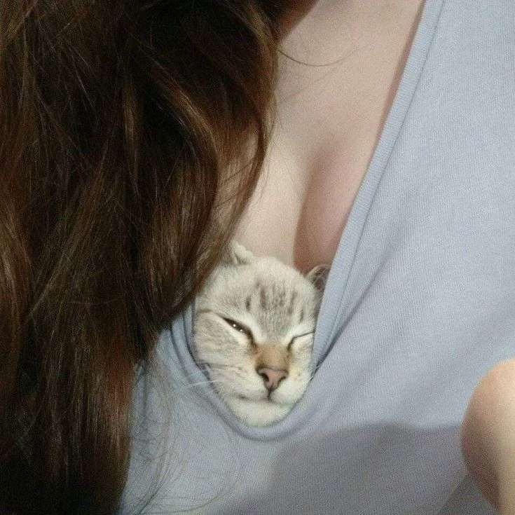 Evara