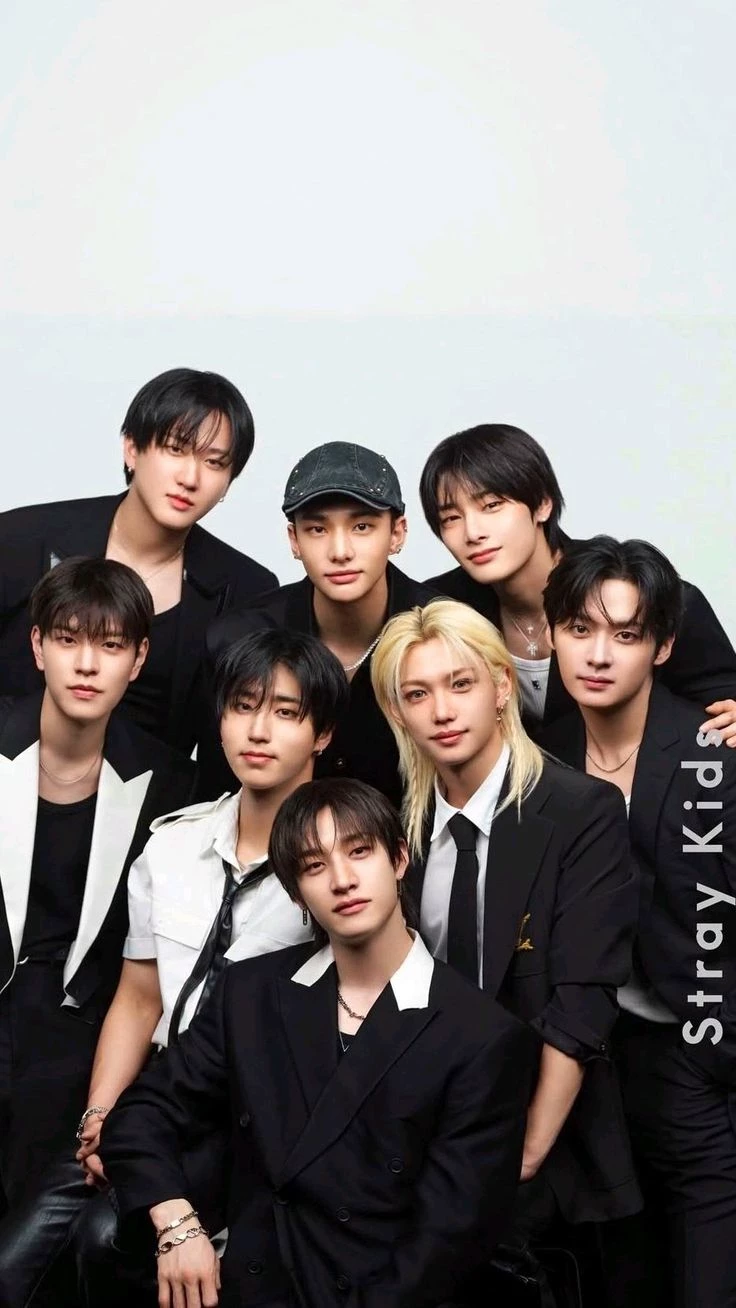 Stray kids/Niños callejeros  thumbnail