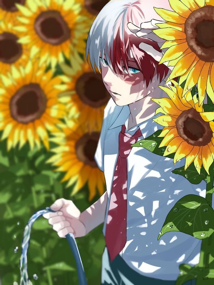 Shot todoroki 🌻🌼🐝 thumbnail