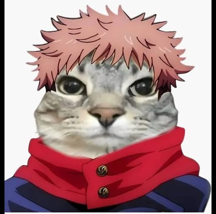 yuji itadori (cat) thumbnail