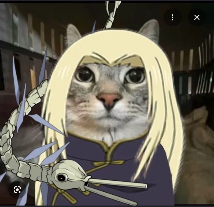 Yuki Tsukumo (cat) thumbnail