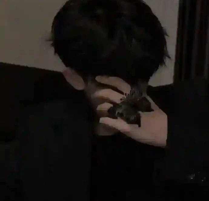 in love thumbnail
