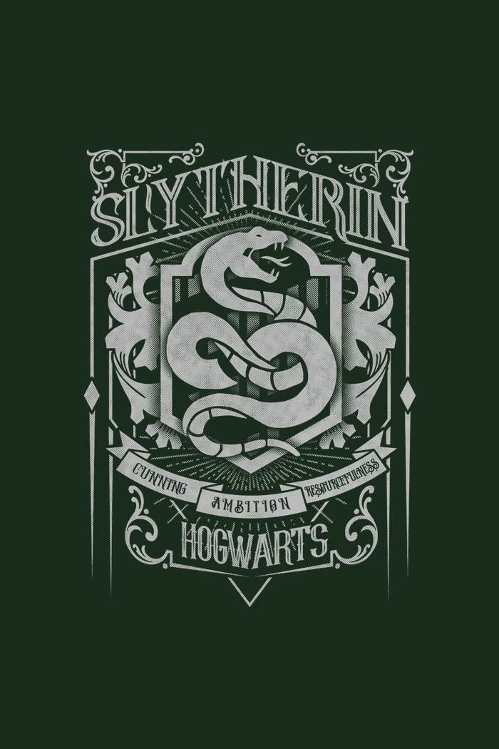 Slytherin 🐍 thumbnail