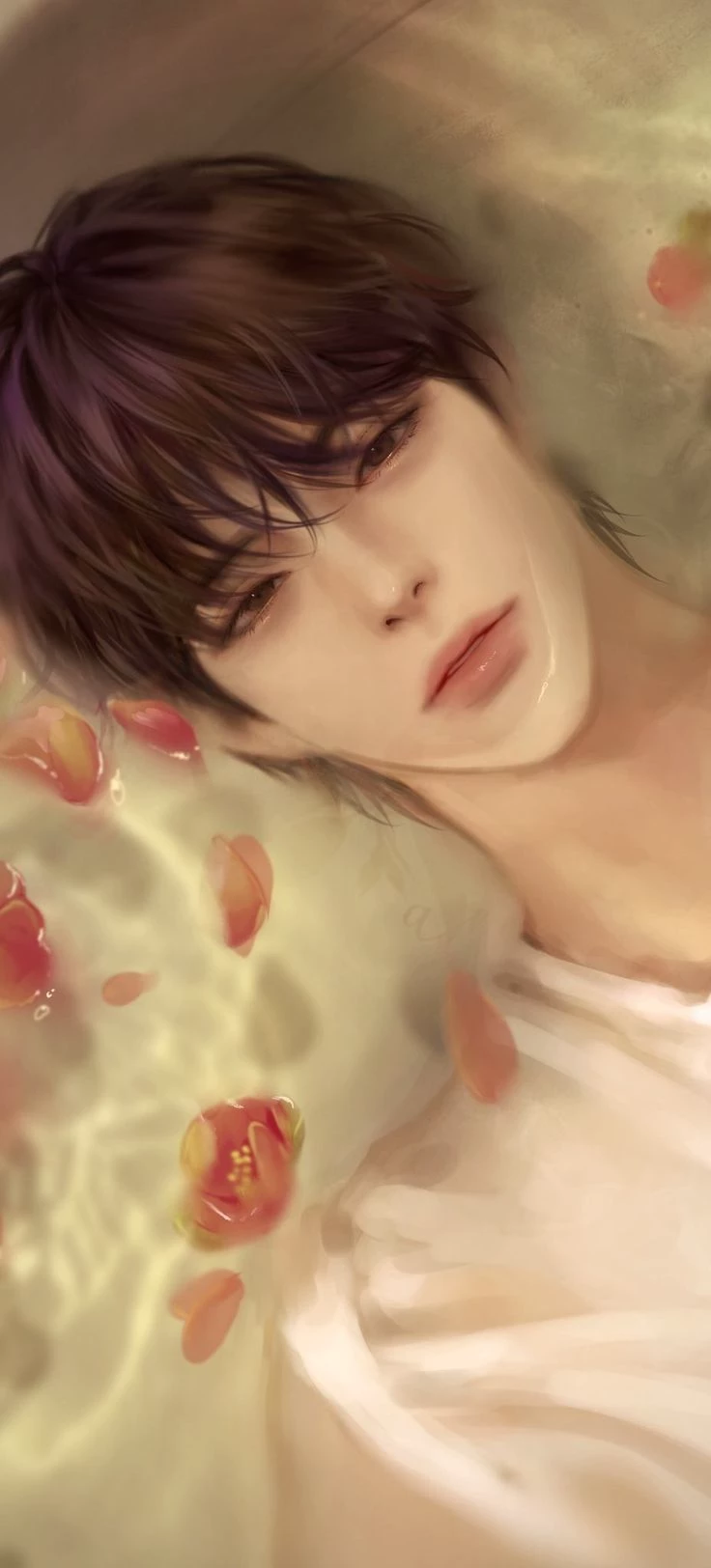 Caellum thumbnail