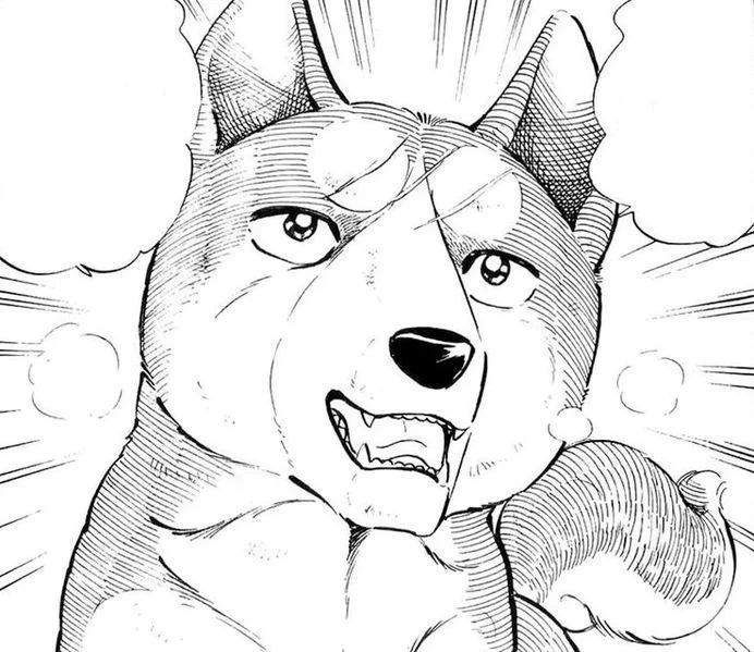 Gin thumbnail