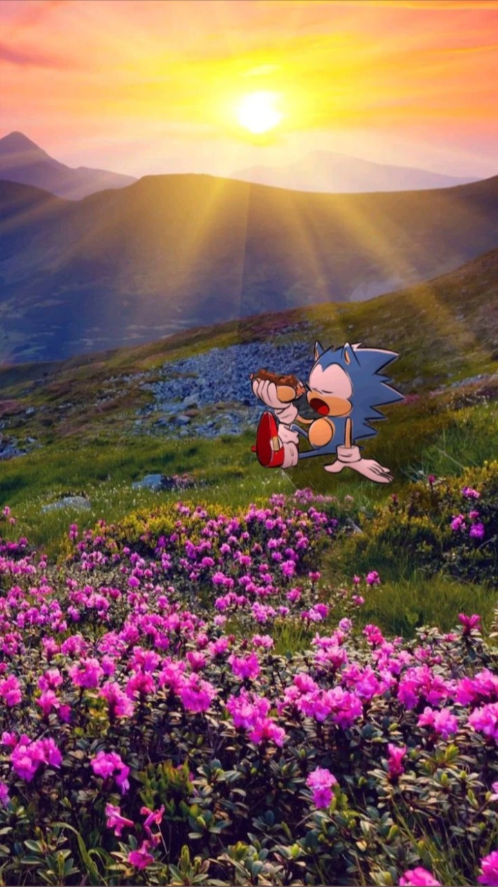 ✨️team sonic🦔✨️ thumbnail