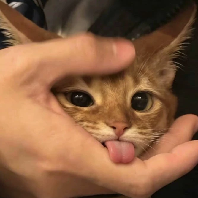 Кая