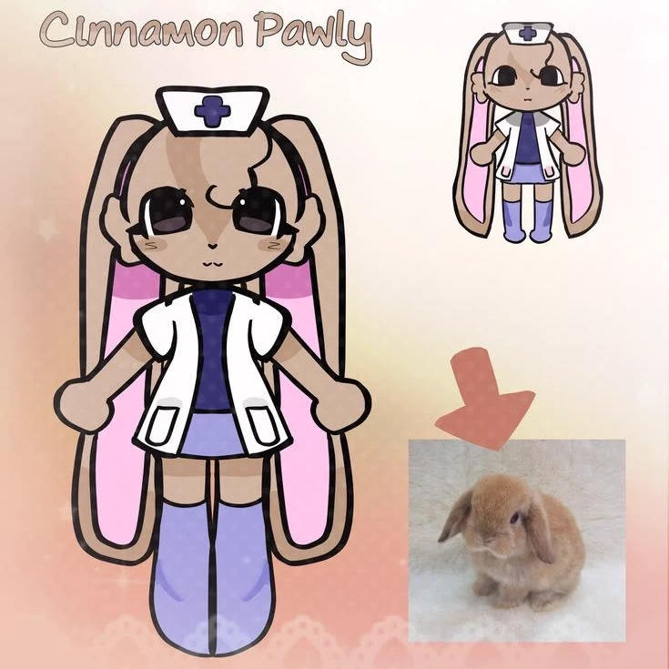 Animal hospital seeks attention thumbnail