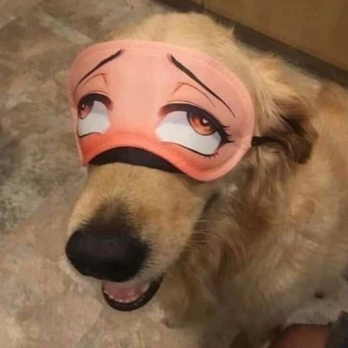 sam