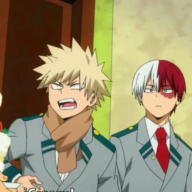 Katsuki Bakugo and Shoto Todoroki thumbnail