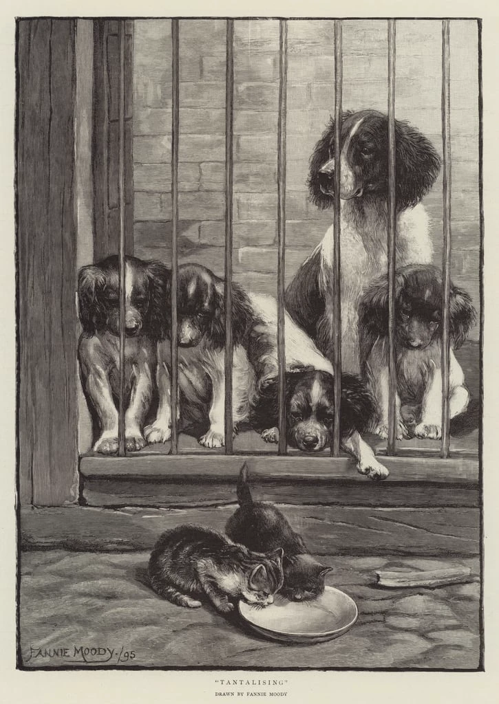 Animal Shelter thumbnail