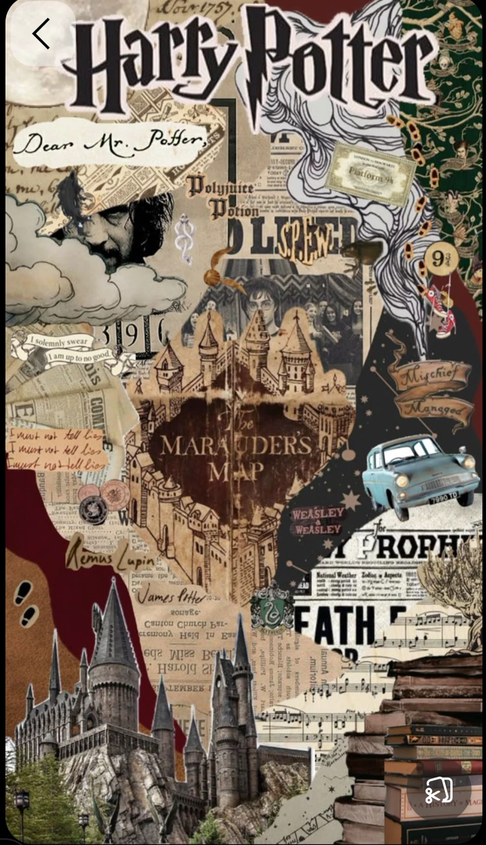 Hogwarts ( but Harry's adopted sister) thumbnail