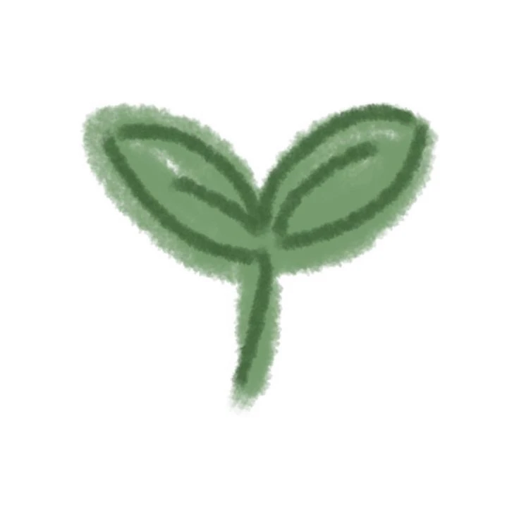 ◇⃟̣̣⃕🌱ᰥ♡! 𝑷𝑙𝑎𝑛𝑡𝑖𝑡𝑎ᜊ¡谷˚·