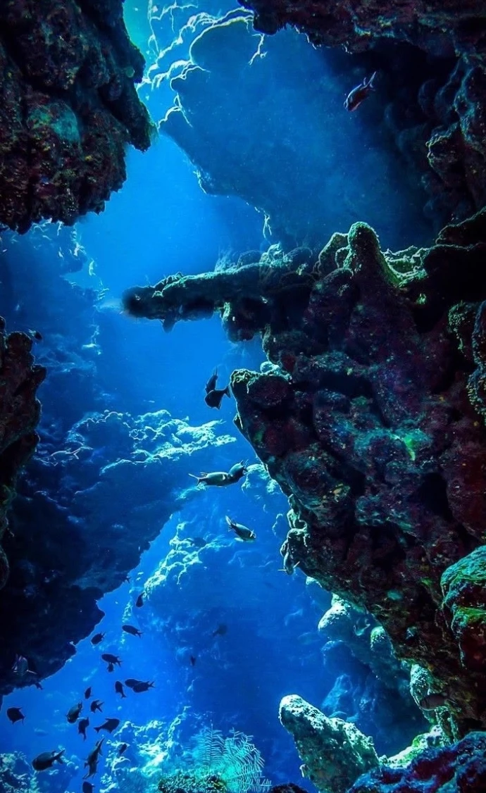 In the depths of the sea - Mermaid and Mermen World thumbnail