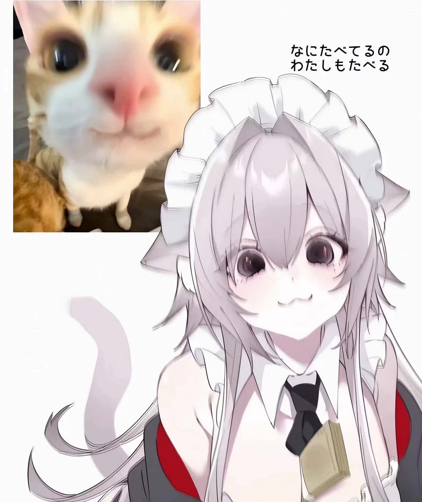 糯糯 thumbnail