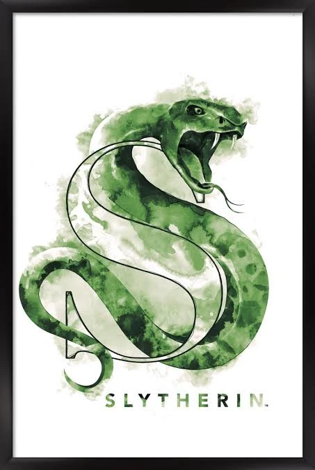The Slytherin Couples thumbnail