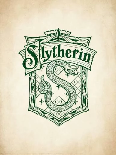 The Slytherin Couples thumbnail