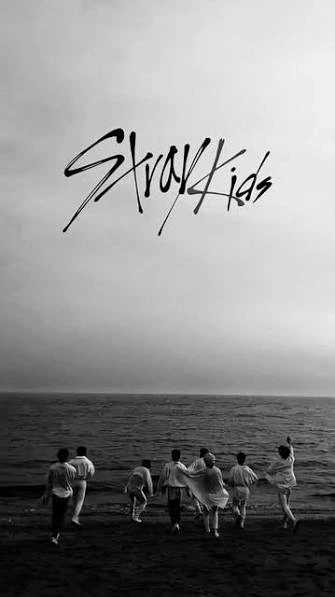 SKZ - FANMEETING thumbnail