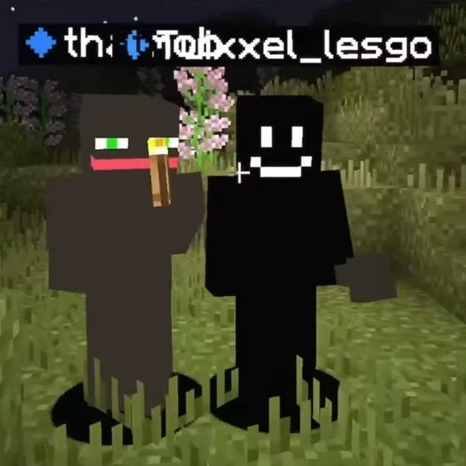 Twixxel, mob! and a pick me. thumbnail