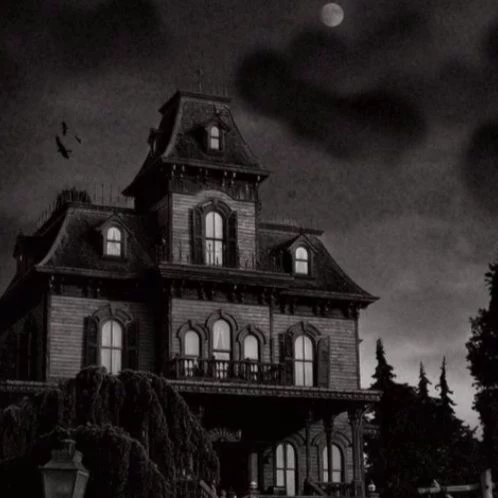 ❤️ Addams family🔪 thumbnail