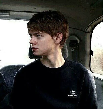 Newt thumbnail