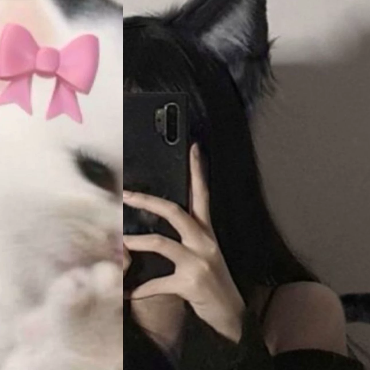 🌹😺The story of the human cat😿🥀🌚 thumbnail