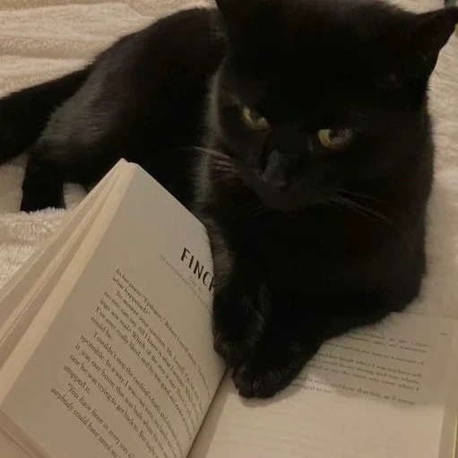 Nova