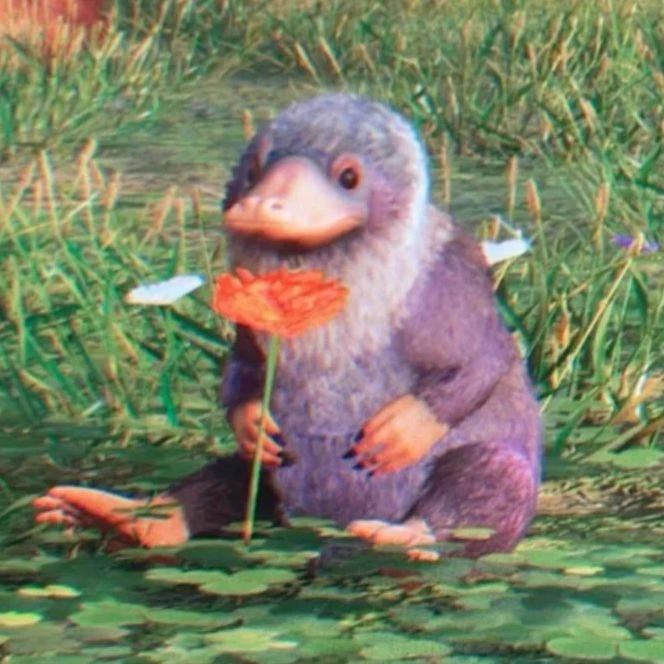 Fantastic Beasts  thumbnail