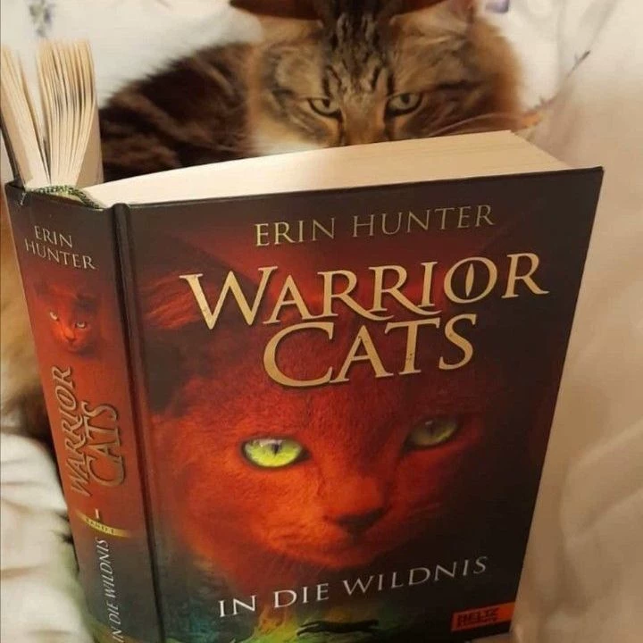 Warrior Cats thumbnail