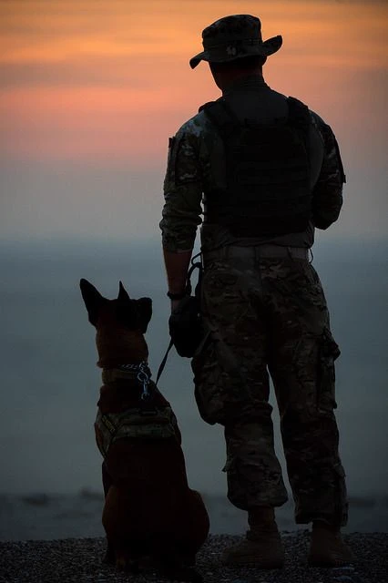 TF141— K9 thumbnail