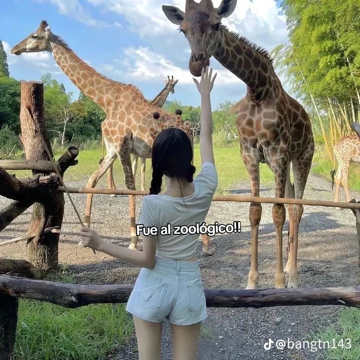 felix