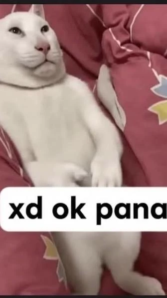 XD ok dude thumbnail
