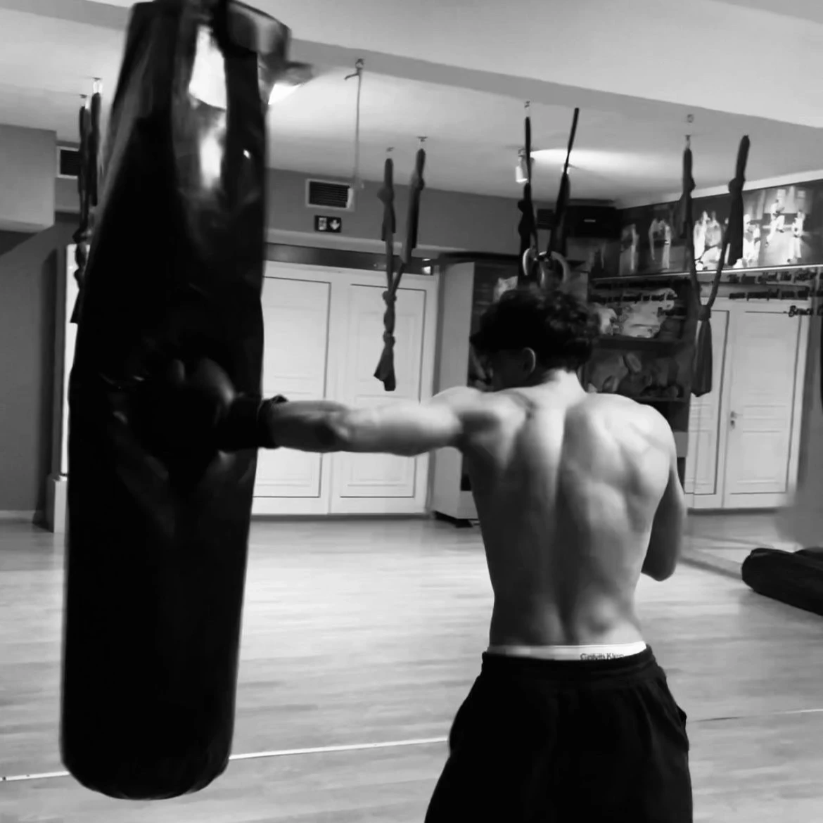 Boxer thumbnail
