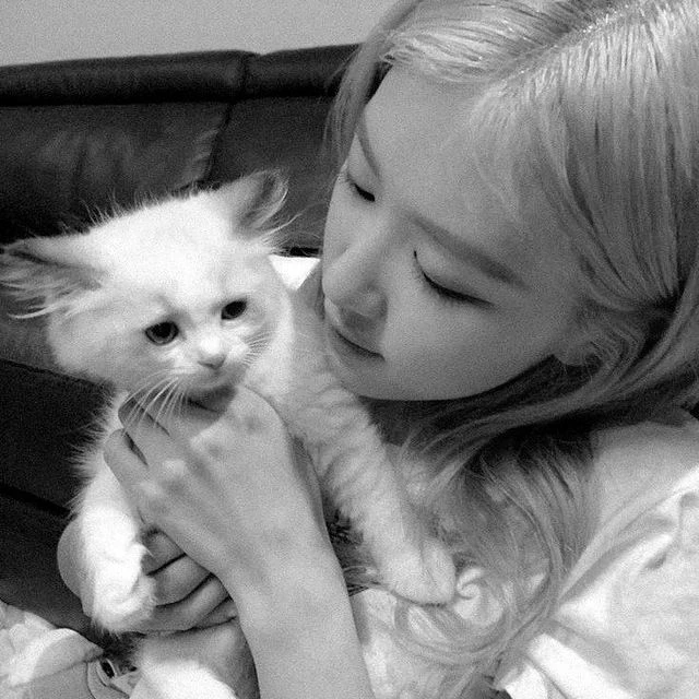 Rosé thumbnail