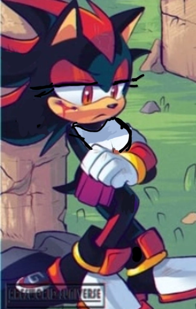 Shadina The Hedgehog thumbnail