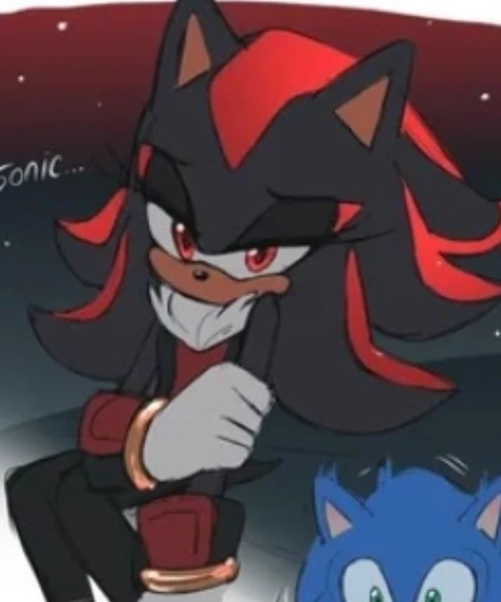 Shadina The Hedgehog  thumbnail