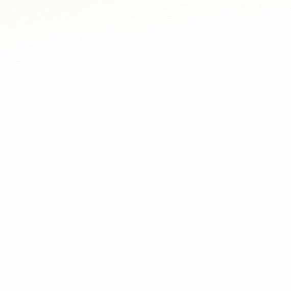 саша